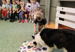 Dogoterapia u Misiów