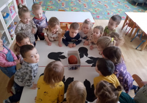 Sala przedszkolna. Grupa dzieci przy stole obserwuje, jajo dinozaura" włożone do wody. Na stole są rozłożone ślady dinozaurów wycięte z papieru.
