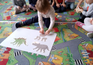 Sala przedszkolna. Dzieci siedzą na dywanie w kole. Na środku leżą zdjęcia dinozaurów. Chłopiec układa kolejne zdjęcie dinozaura.