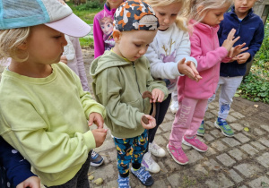 chłopiec i dzieci oglądają podkowę końską