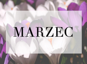 W marcu u Misiów