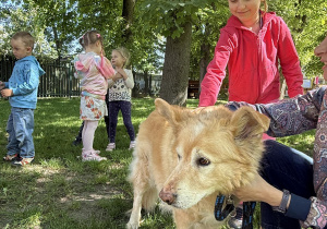 dzieci podczas zajęć edukacyjnych z psem Martynki- Beniem