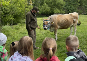 Dzieci podczas oglądania zwierząt w agroturystyce