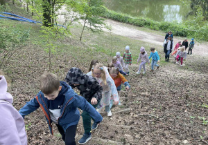 Dzieci wchodzące na górę po schodkach w lesie