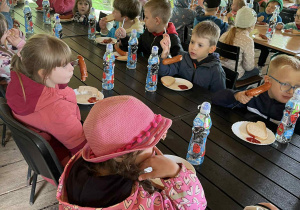 Dzieci podczas spożywania obiady na wycieczce