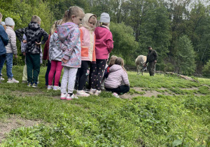 Dzieci podczas wycieczki przedszkolnej w lesie