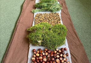 dzieci chodzą boso po jesiennej ścieżce sensorycznej z materiałów naturalnych