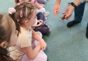 Dzieci obserwują pająka ptasznika trzymanego w dłoni przez tatę jednego z chłopców