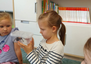 Dziewczynka obserwuje pająka ptasznika siedzącego w plastikowym pudełku