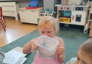 Dziewczynka obserwuje pająka ptasznika siedzącego w plastikowym pudełku