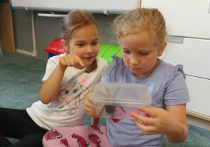 Dziewczynki obserwują pająka ptasznika siedzącego w plastikowym pudełku