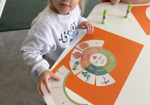 Dzień Dyni- dzieci układają cykl rozwoju dyni