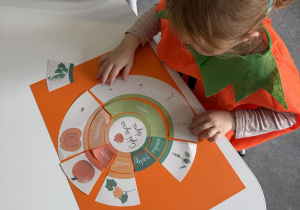 Dzień Dyni- dzieci układają cykl rozwoju dyni