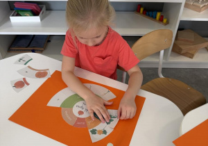 Dzień D- dzieci układają cykl rozwoju dyni