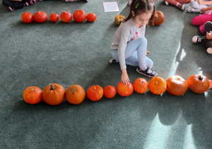 Dziewczynka przelicza jasnopomarańczowe dynie