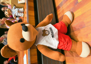 pluszowa postać Misia Uszatka