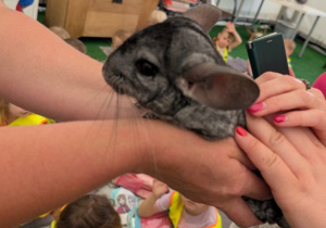 Wycieczka zoo Borysew