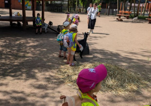 Wycieczka zoo Borysew