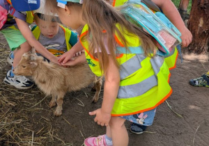 Wycieczka zoo Borysew