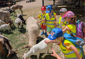 Wycieczka zoo Borysew