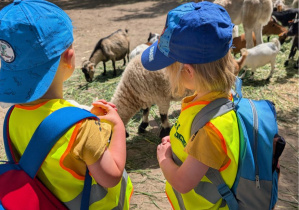 Wycieczka zoo Borysew
