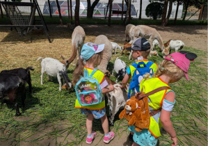 Wycieczka zoo Borysew