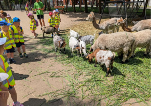 Wycieczka zoo Borysew