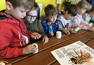 wycieczka do pasieki w Lipce