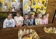 wycieczka do pasieki w Lipce