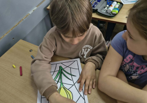 Chłopiec koloruje krokusa