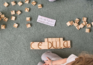 Ułożony z klocków wyraz "cebula"