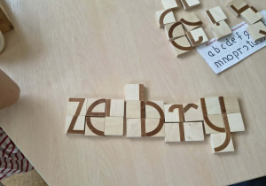 Ułożony z klocków wyraz "zebry"