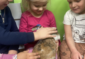 Dzieci głaszczące królika trzymanego na kolanach
