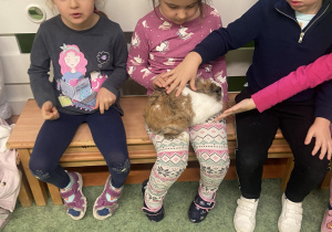 Dzieci głaszczące królika siedzącego na kolanach dziewczynki