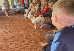 Dzieci na dywanie słuchają opowieści Pani o rasie psa